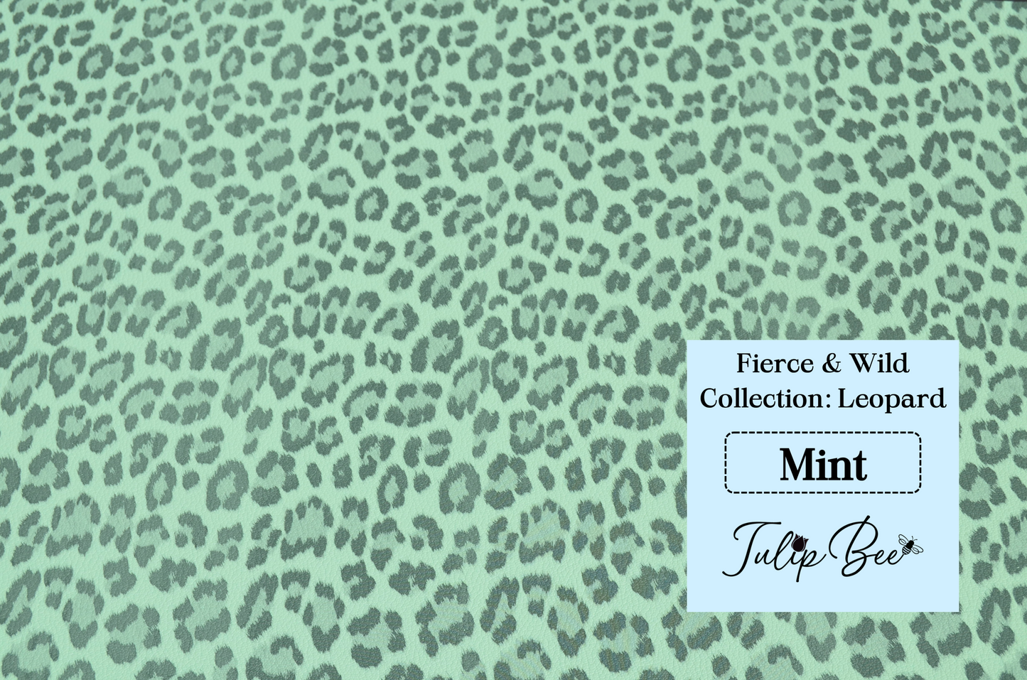 Fierce & Wild Collections: Leopard