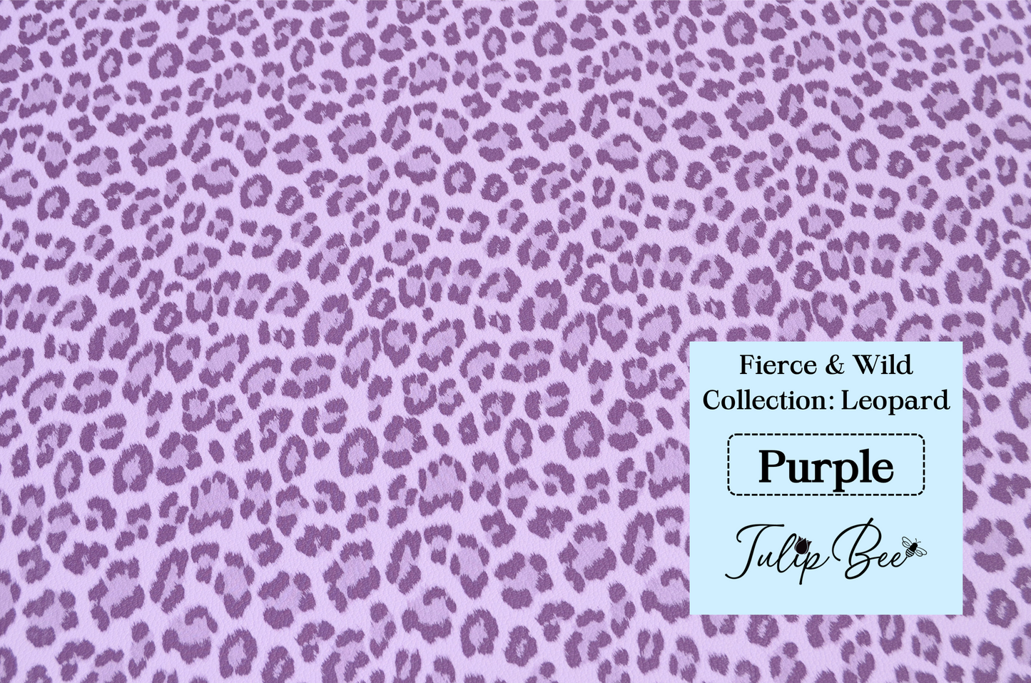 Fierce & Wild Collections: Leopard