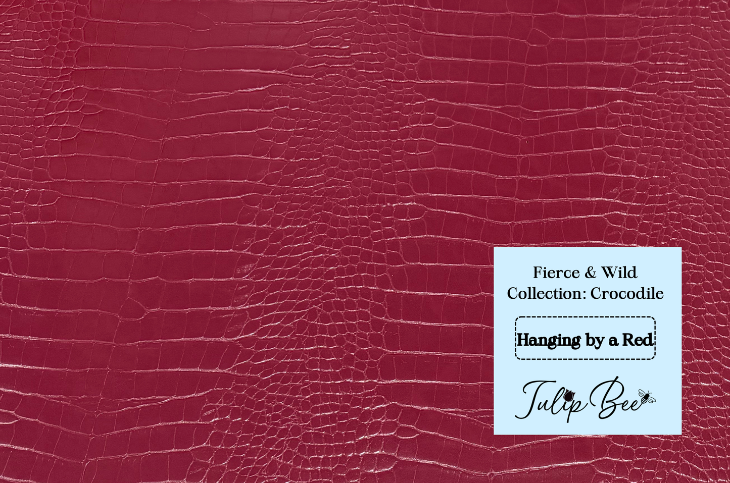 Fierce & Wild Collection: Crocodile