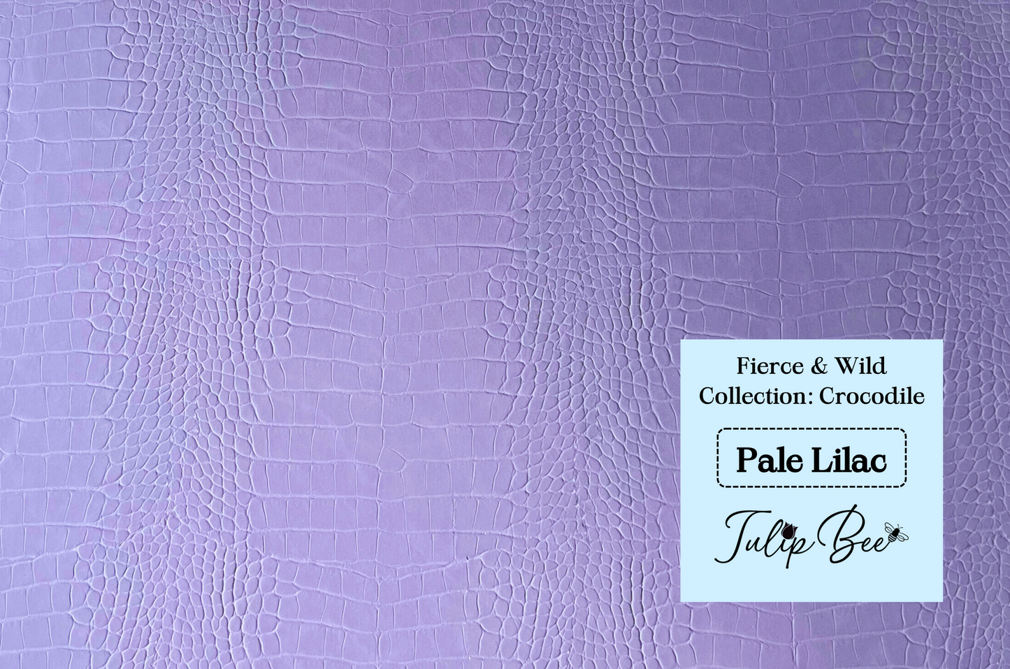 Fierce & Wild Collection: Crocodile